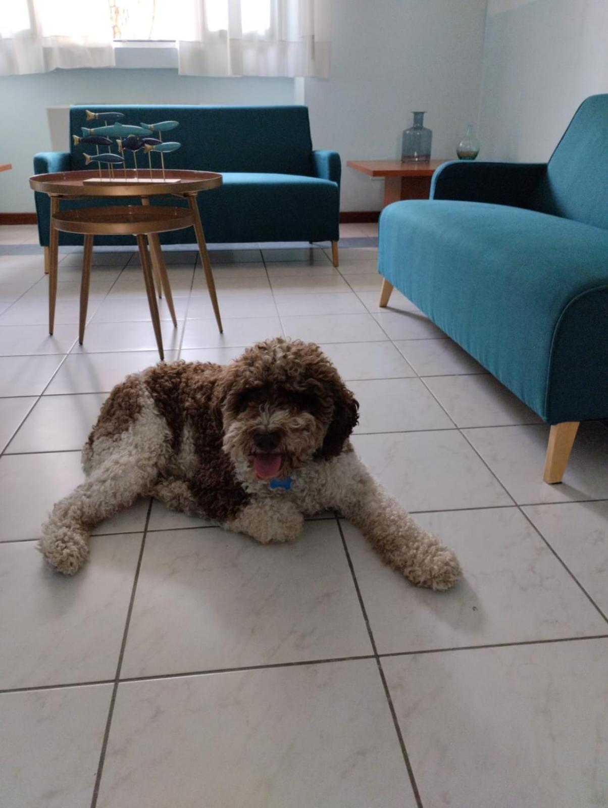 Casa Per Ferie Il Pioppo *